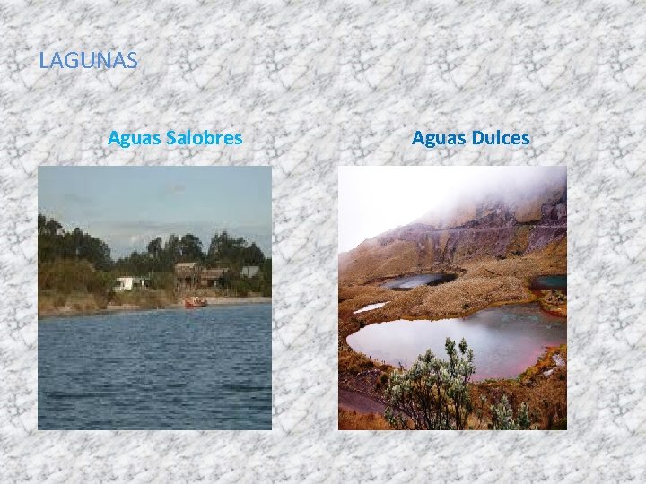 LAGUNAS Aguas Salobres Aguas Dulces 
