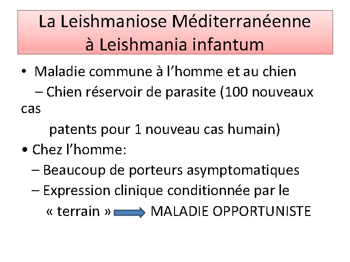 La Leishmaniose Méditerranéenne à Leishmania infantum • Maladie commune à l’homme et au chien