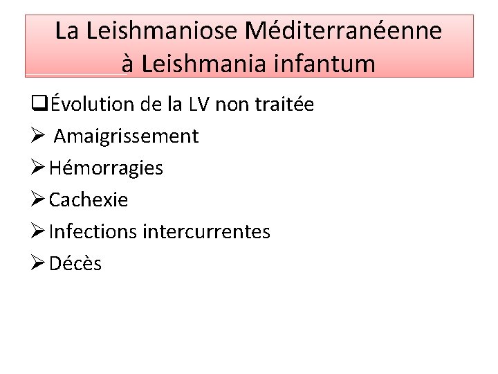 La Leishmaniose Méditerranéenne à Leishmania infantum qÉvolution de la LV non traitée Ø Amaigrissement