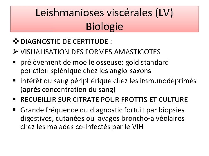 Leishmanioses viscérales (LV) Biologie v DIAGNOSTIC DE CERTITUDE : Ø VISUALISATION DES FORMES AMASTIGOTES
