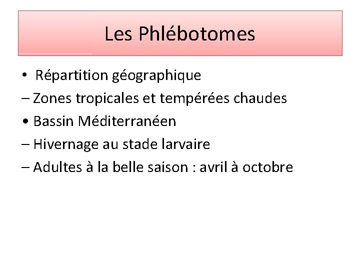 Les Phlébotomes • Répartition géographique – Zones tropicales et tempérées chaudes • Bassin Méditerranéen