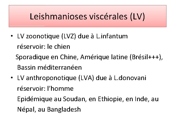 Leishmanioses viscérales (LV) • LV zoonotique (LVZ) due à L. infantum réservoir: le chien