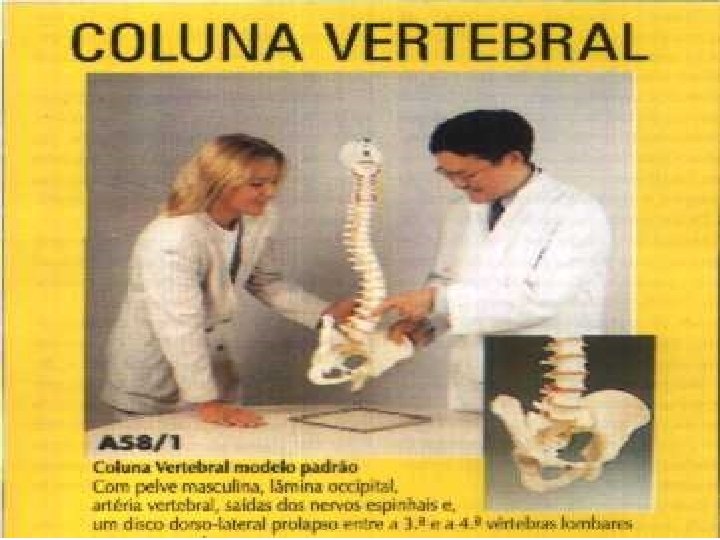 ERGONOMIA 