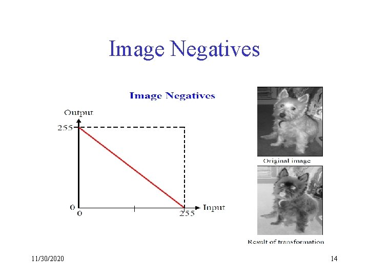 Image Negatives 11/30/2020 14 