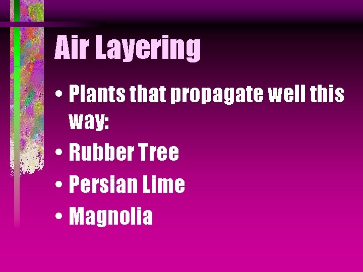 Air Layering • Plants that propagate well this way: • Rubber Tree • Persian