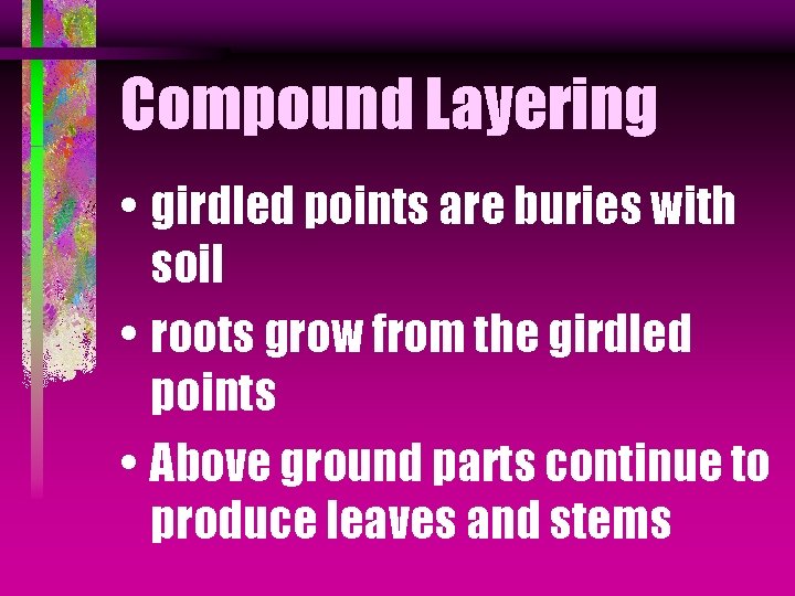 Compound Layering • girdled points are buries with soil • roots grow from the