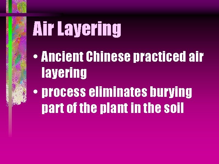 Air Layering • Ancient Chinese practiced air layering • process eliminates burying part of