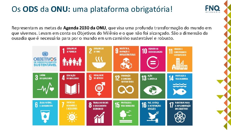 Os ODS da ONU: uma plataforma obrigatória! Representam as metas da Agenda 2030 da