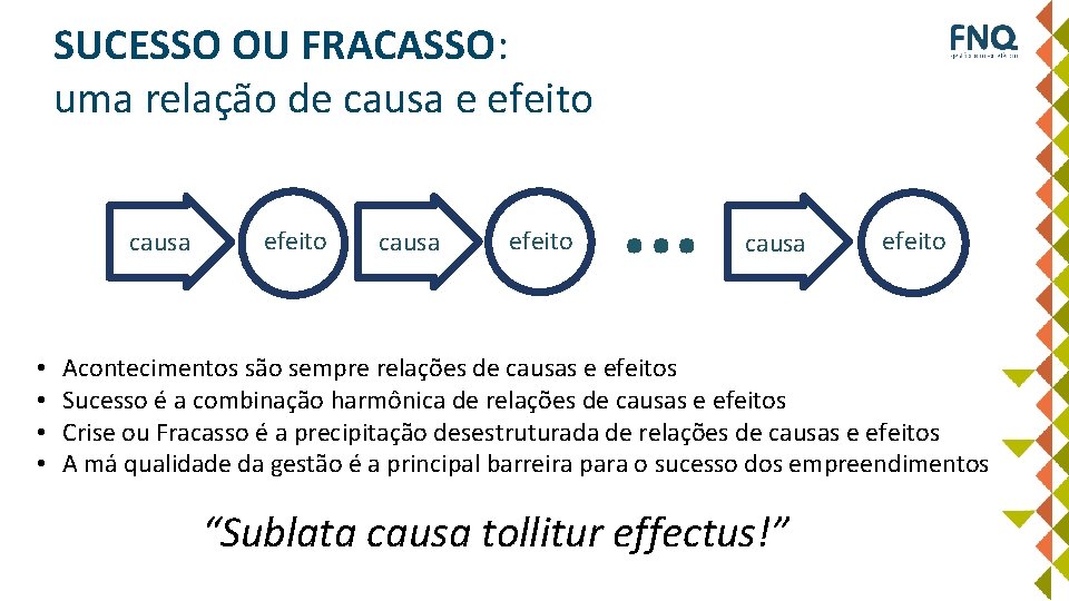 SUCESSO OU FRACASSO: uma relação de causa e efeito causa • • efeito causa