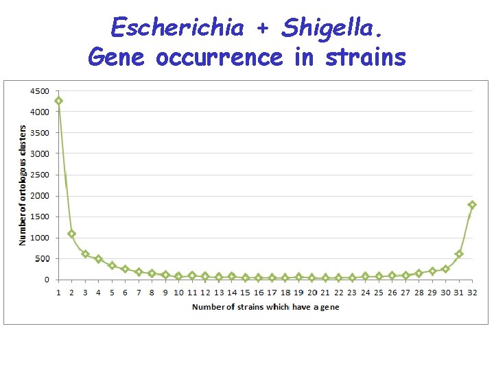 Escherichia + Shigella. Gene occurrence in strains 