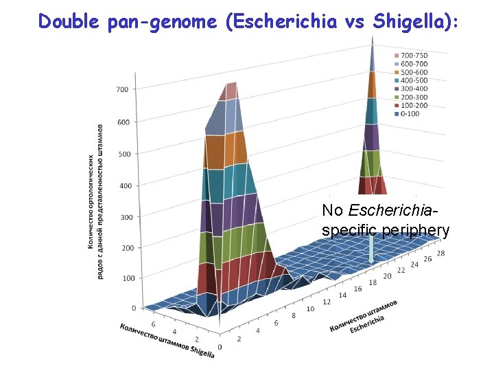 Double pan-genome (Escherichia vs Shigella): No Escherichiaspecific periphery 