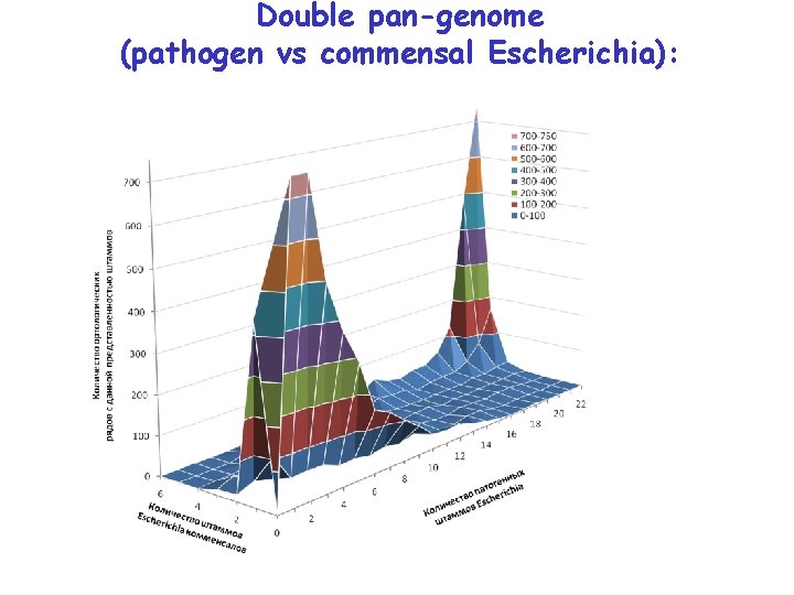 Double pan-genome (pathogen vs commensal Escherichia): 