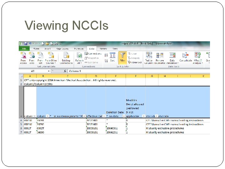 Viewing NCCIs Viewing NCCIs