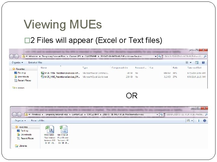 Viewing MUEs � 2 Files will appear (Excel or Text files) OR Viewing MUEs � 2 Files will appear (Excel or Text files) OR