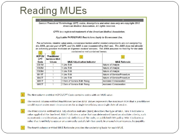 Reading MUEs Reading MUEs