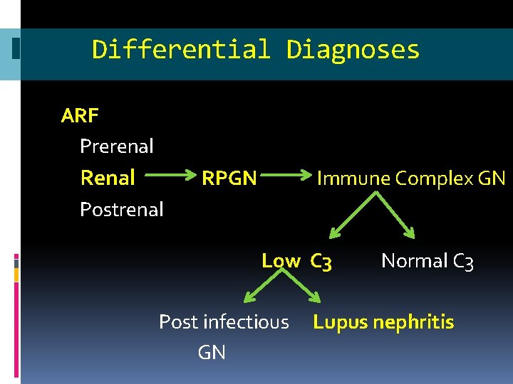 Differential Diagnoses ARF Prerenal RPGN Immune Complex GN Postrenal Low C 3 Post infectious