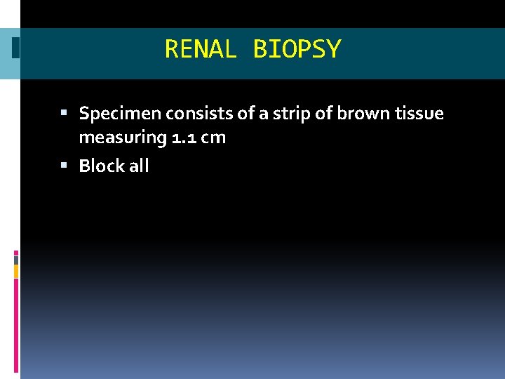 RENAL BIOPSY Specimen consists of a strip of brown tissue measuring 1. 1 cm