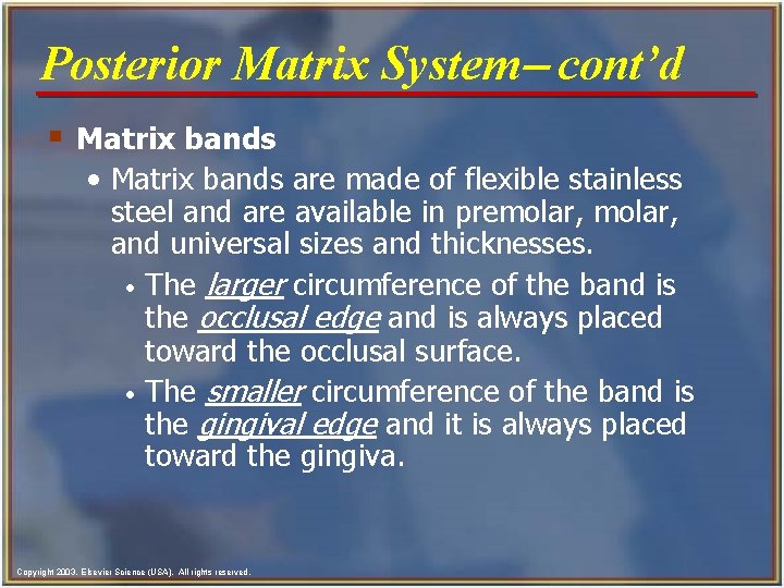 Posterior Matrix System- cont’d § Matrix bands • Matrix bands are made of flexible