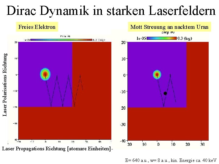 Dirac Dynamik in starken Laserfeldern Laser Polarisations Richtung Freies Elektron Mott Streuung an nacktem
