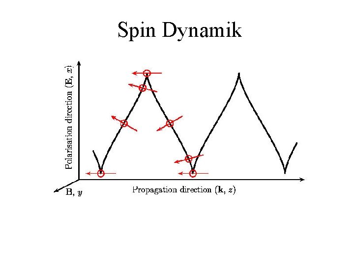 Spin Dynamik 