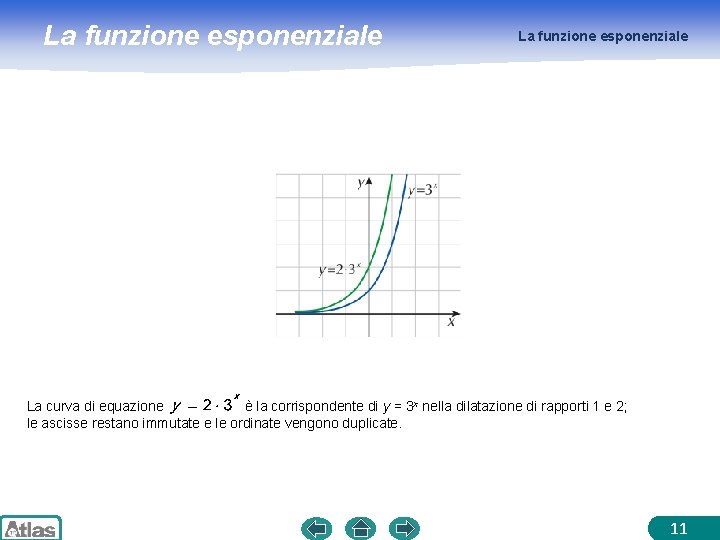 La funzione esponenziale La curva di equazione è la corrispondente di y = 3