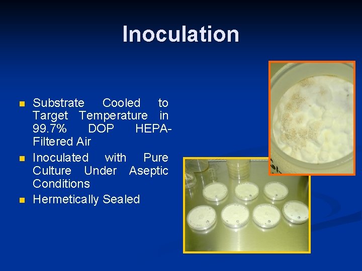 Inoculation n Substrate Cooled to Target Temperature in 99. 7% DOP HEPAFiltered Air Inoculated