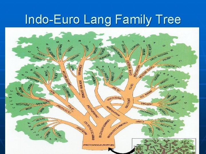 Indo-Euro Lang Family Tree 