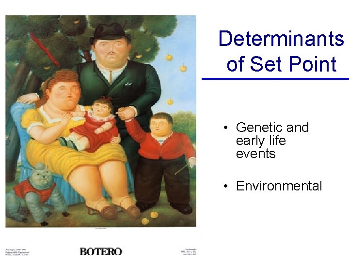 Determinants of Set Point • Genetic and early life events • Environmental 
