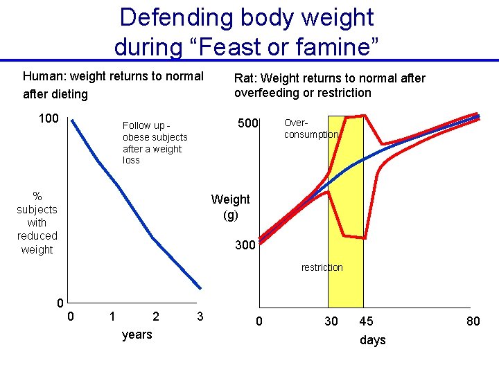 Defending body weight during “Feast or famine” Human: weight returns to normal after dieting