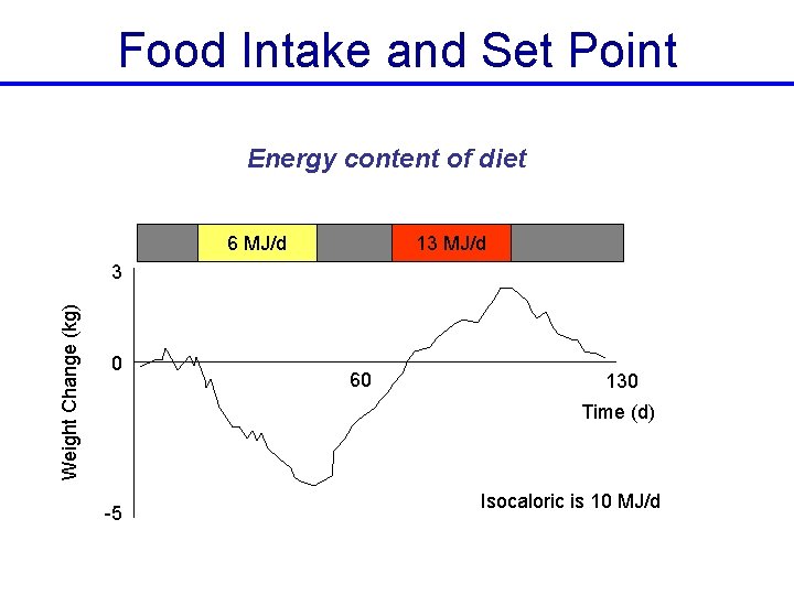 Food Intake and Set Point Energy content of diet 6 MJ/d 13 MJ/d Weight