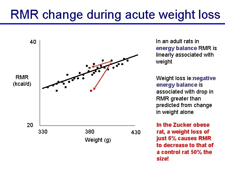 RMR change during acute weight loss In an adult rats in energy balance RMR