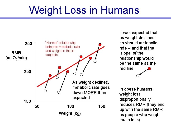 Weight Loss in Humans It was expected that as weight declines, so should metabolic