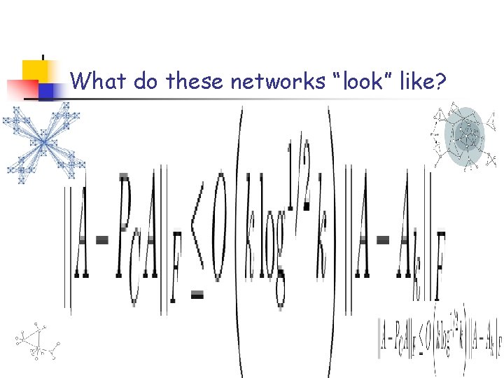 What do these networks “look” like? 