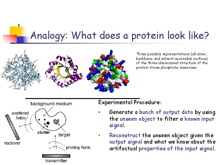 Analogy: What does a protein look like? Three possible representations (all-atom; backbone; and solvent-accessible