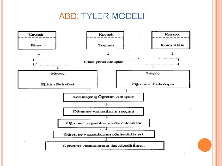 ABD: TYLER MODELİ 