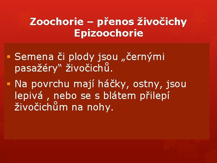 Zoochorie – přenos živočichy Epizoochorie § Semena či plody jsou „černými pasažéry“ živočichů. § Zoochorie – přenos živočichy Epizoochorie § Semena či plody jsou „černými pasažéry“ živočichů. §