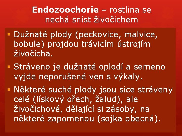Endozoochorie – rostlina se nechá sníst živočichem § Dužnaté plody (peckovice, malvice, bobule) projdou Endozoochorie – rostlina se nechá sníst živočichem § Dužnaté plody (peckovice, malvice, bobule) projdou