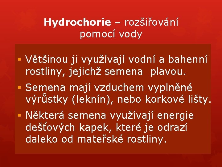 Hydrochorie – rozšiřování pomocí vody § Většinou ji využívají vodní a bahenní rostliny, jejichž Hydrochorie – rozšiřování pomocí vody § Většinou ji využívají vodní a bahenní rostliny, jejichž