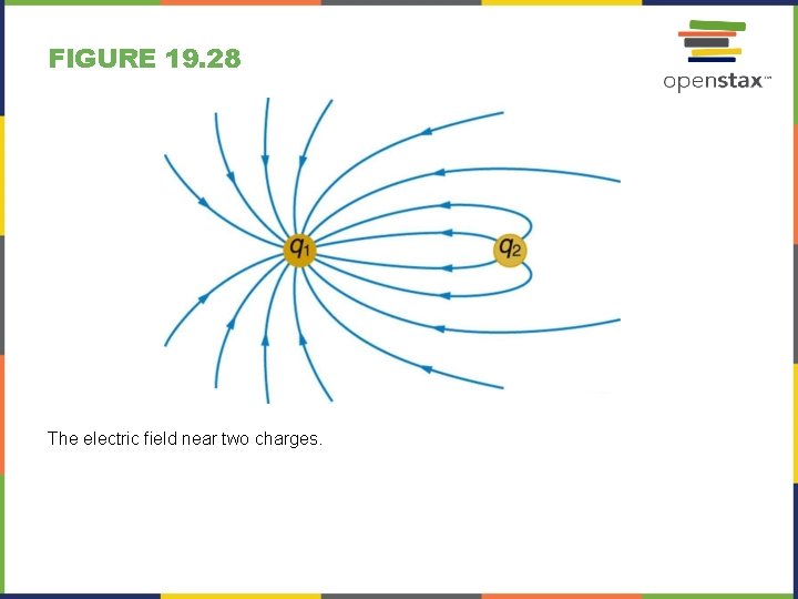 FIGURE 19. 28 The electric field near two charges. 