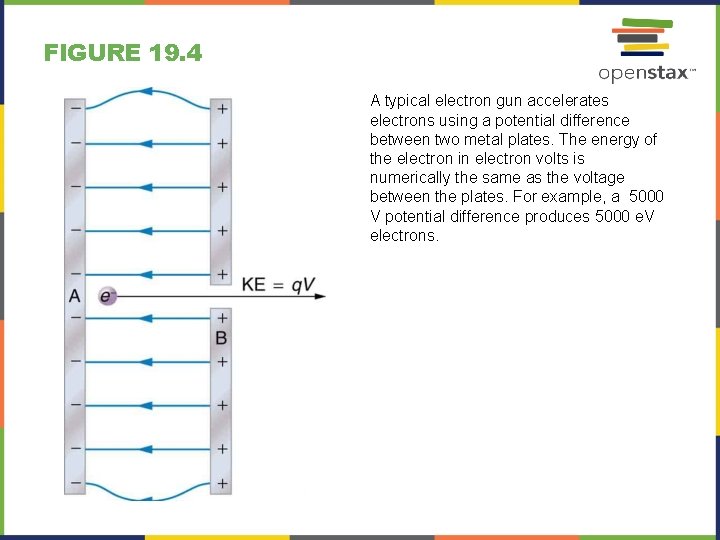 FIGURE 19. 4 A typical electron gun accelerates electrons using a potential difference between