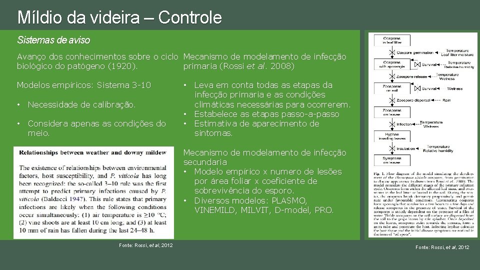 Míldio da videira – Controle Sistemas de aviso Avanço dos conhecimentos sobre o ciclo