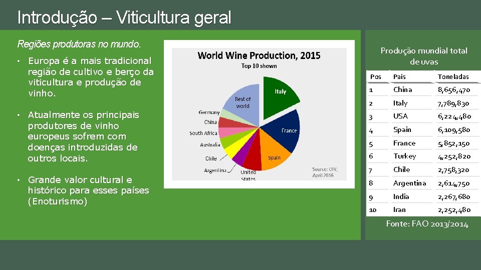 Introdução – Viticultura geral Regiões produtoras no mundo. • Europa é a mais tradicional