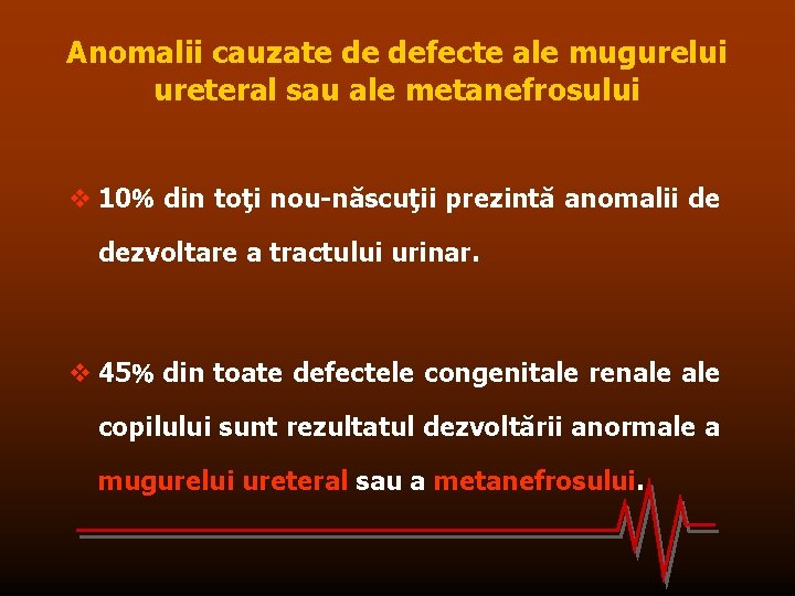 Anomalii cauzate de defecte ale mugurelui ureteral sau ale metanefrosului v 10 din toţi