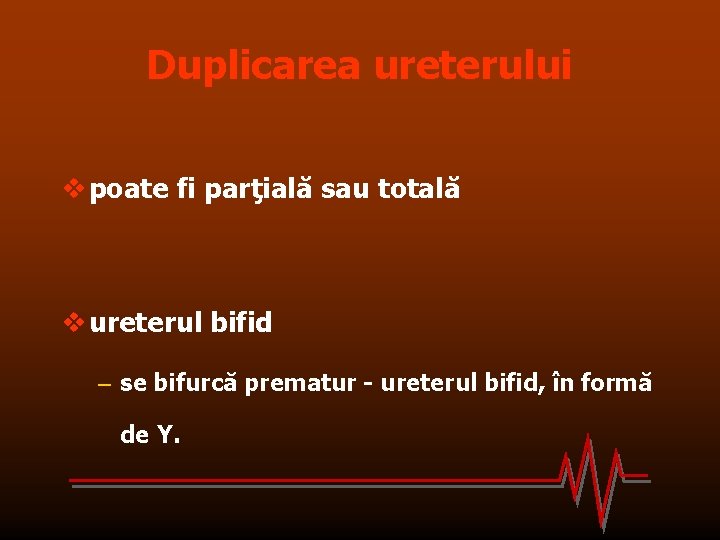 Duplicarea ureterului v poate fi parţială sau totală v ureterul bifid – se bifurcă