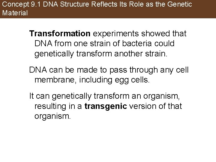 Concept 9. 1 DNA Structure Reflects Its Role as the Genetic Material Transformation experiments