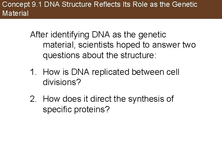 Concept 9. 1 DNA Structure Reflects Its Role as the Genetic Material After identifying