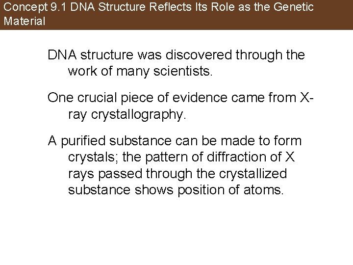 Concept 9. 1 DNA Structure Reflects Its Role as the Genetic Material DNA structure