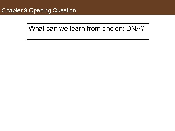 Chapter 9 Opening Question What can we learn from ancient DNA? 