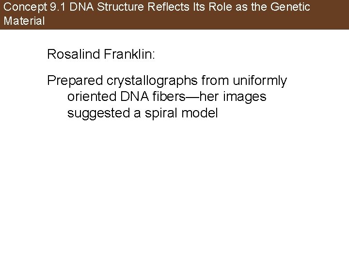 Concept 9. 1 DNA Structure Reflects Its Role as the Genetic Material Rosalind Franklin: