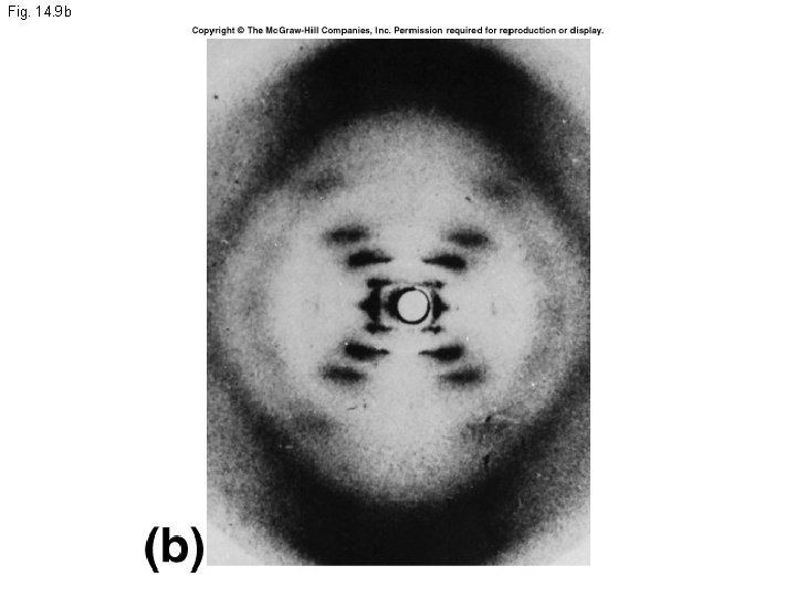 Fig. 14. 9 b 